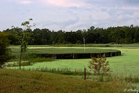 Atchafalaya #4 green