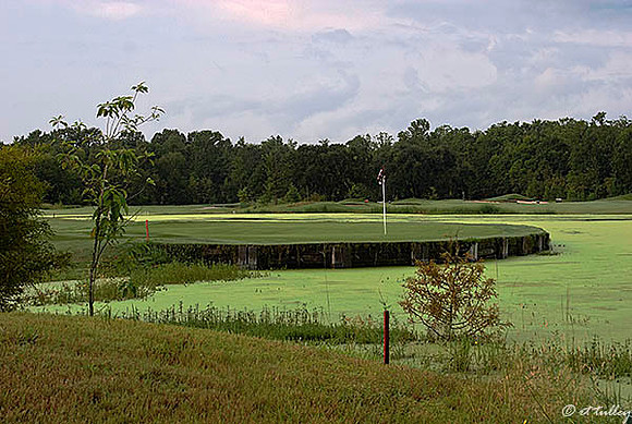 Atchafalaya #4 green