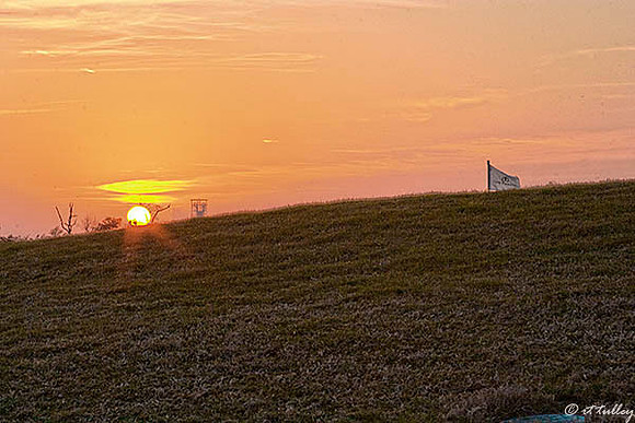 Gray Plantation #7 Sunset
