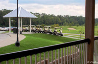Atchafalaya Carts in Line