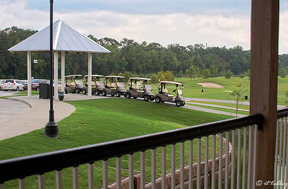 Atchafalaya Carts in Line
