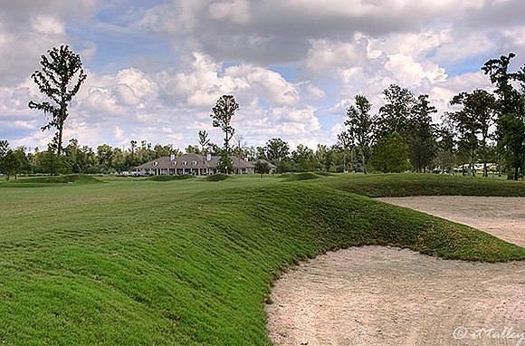 TPC Louisiana #8