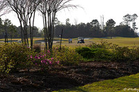 Gray Plantation #1