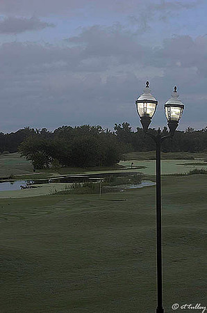 Atchafalaya #9,#18 greens