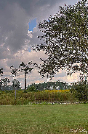 Gray Plantation #15 Tee
