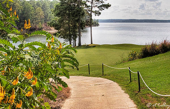 Cypress Bend #17
