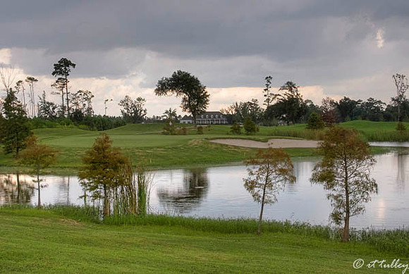 Gray Plantation #17