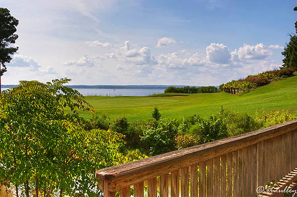 Cypress Bend #17