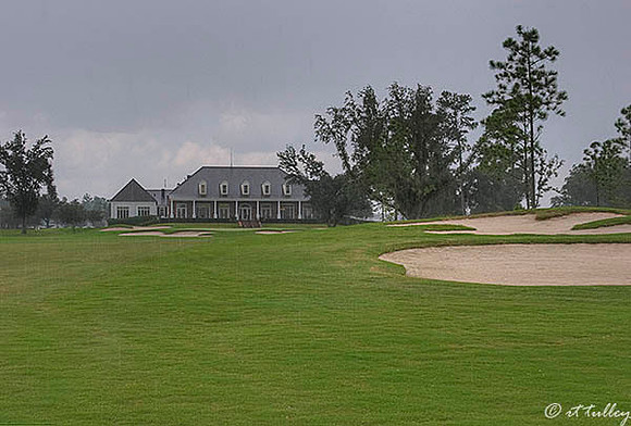 Gray Plantation #18