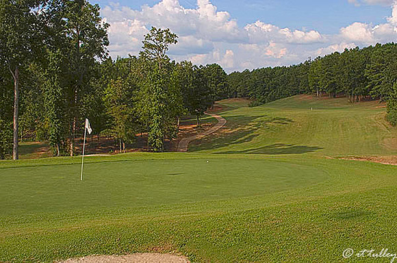 Cypress Bend #5