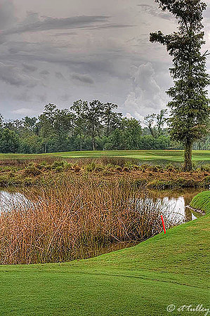 TPC Louisiana #17