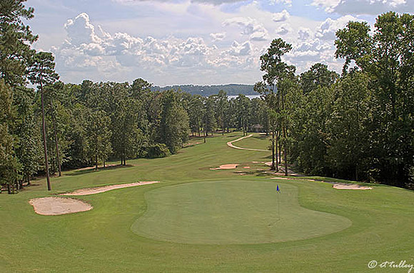 Cypress Bend #15