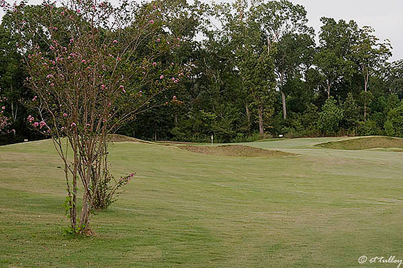 Tamahka Trails #17