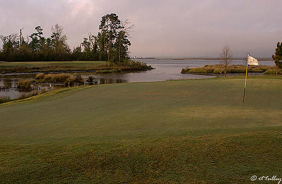 Gray Plantation #6 green