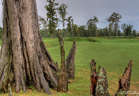 TPC Louisiana #13