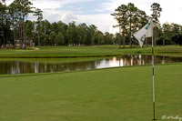 Carter Plantation