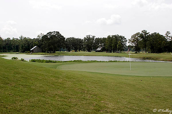Atchafalaya #8 Green