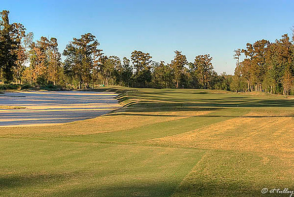 TPC Louisiana #15