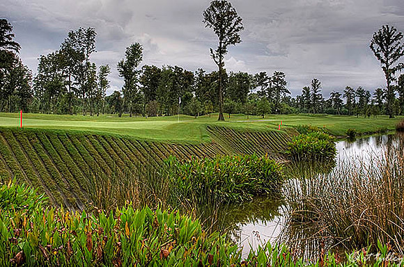TPC Louisiana #9