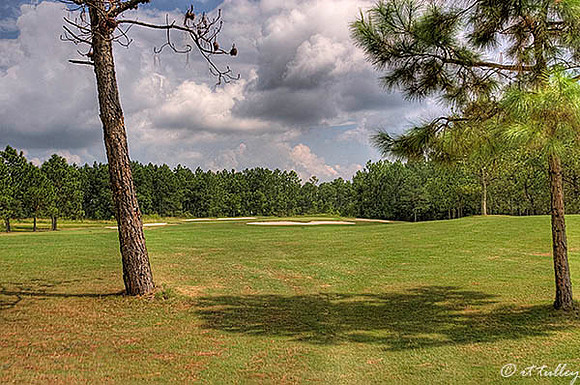 Gray Plantation #12