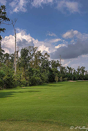 Gray Plantation #4