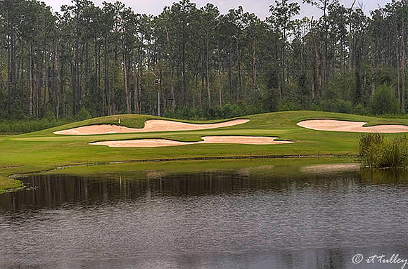 Gray Plantation #13