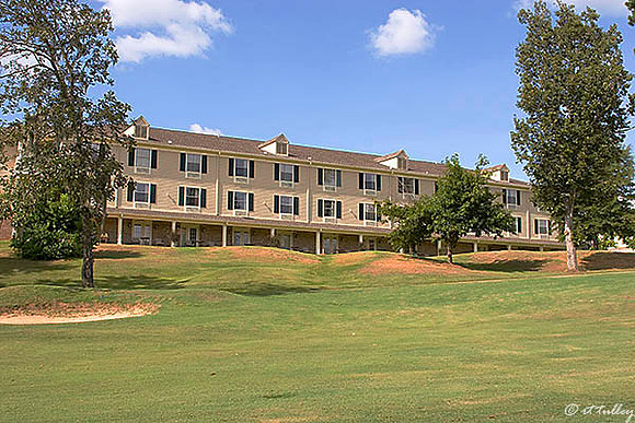 Cypress Bend #18