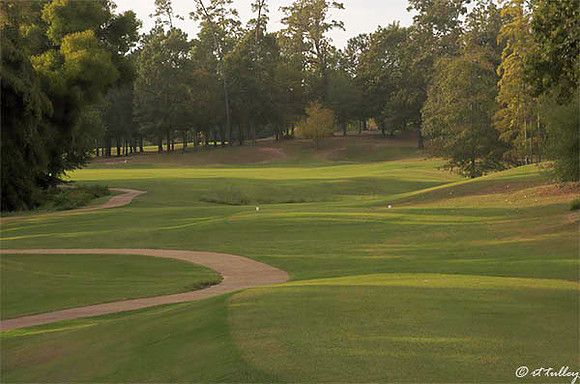Cypress Bend #9
