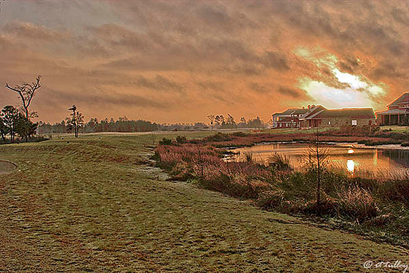 Gray Plantation #7