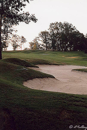 Cypress Bend #18