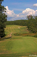 Cypress Bend #1