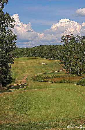 Cypress Bend #1