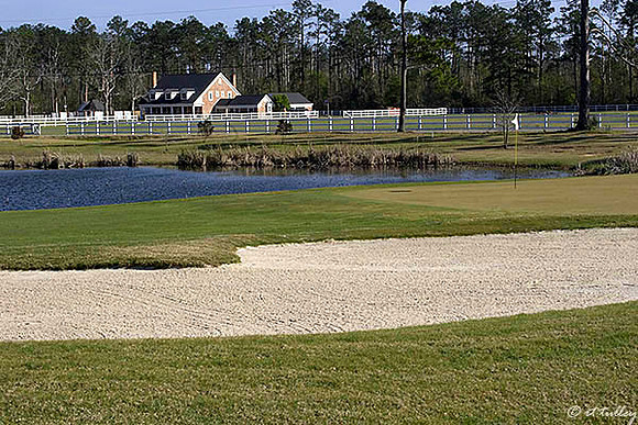 Gray Plantation #14