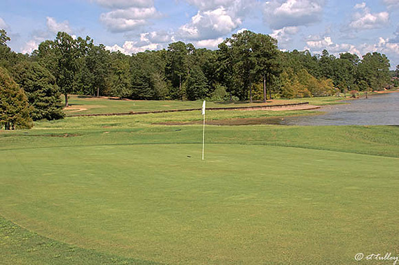 Cypress Bend #14
