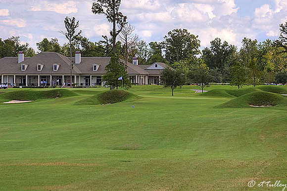 TPC Louisiana #8