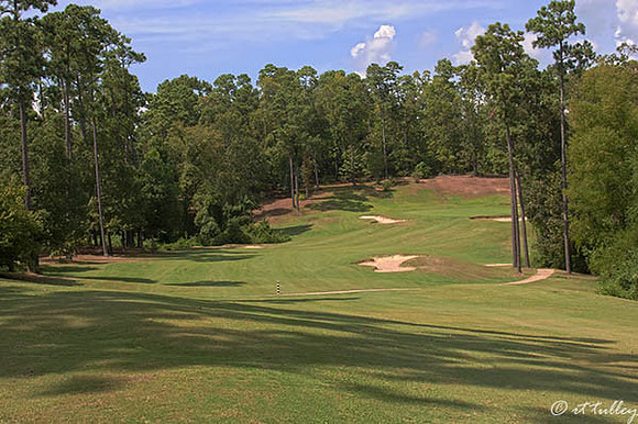Cypress Bend #12
