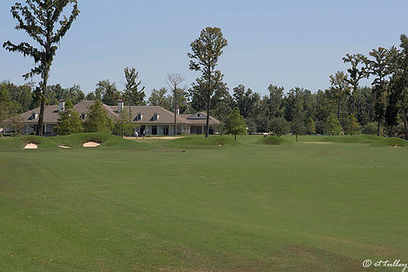 TPC Louisiana #8