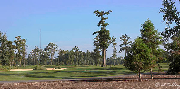 TPC Louisiana #13