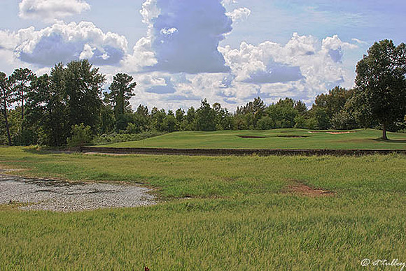 Cypress Bend #14