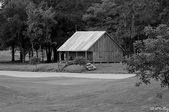 Atchafalaya Cajun Shack, B/W