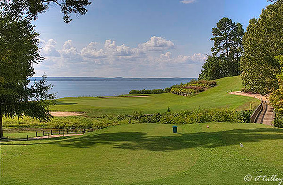 Cypress Bend #17
