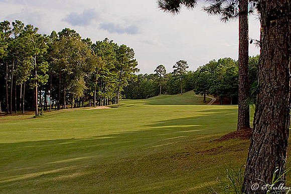 Cypress Bend #7