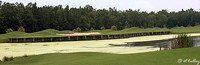 Atchafalaya #4 panorama