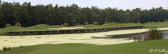 Atchafalaya #4 panorama