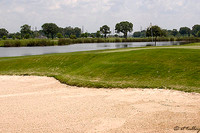 the Wetlands #2