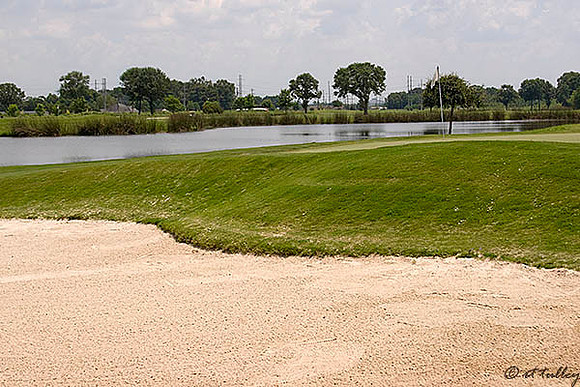 the Wetlands #2