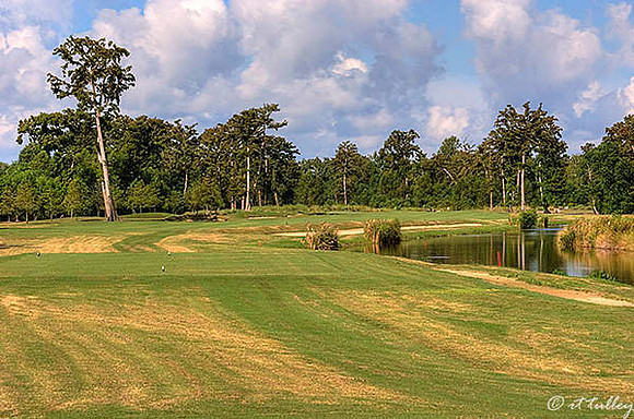 TPC Louisiana #4