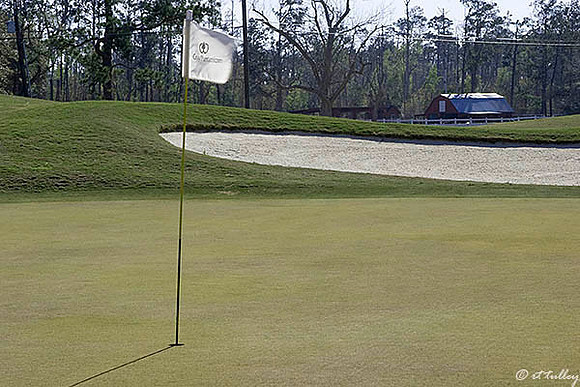 Gray Plantation #13
