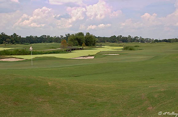 Atchafalaya #9, #18 greens