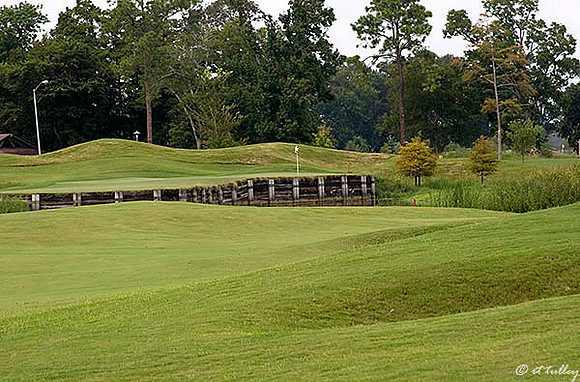Atchafalaya #13 green